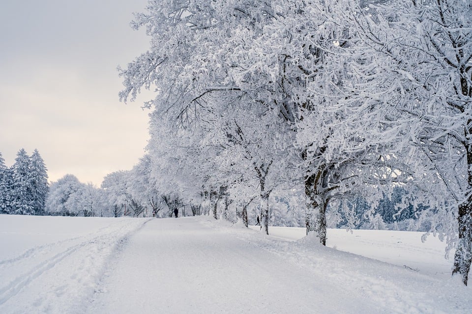 7 Tips for Taking Incredible Photos in the Winter Snow