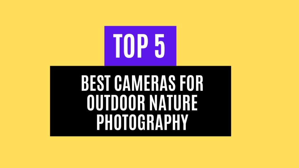 Top 5 Best Cameras For Outdoor Nature Photography in 2025