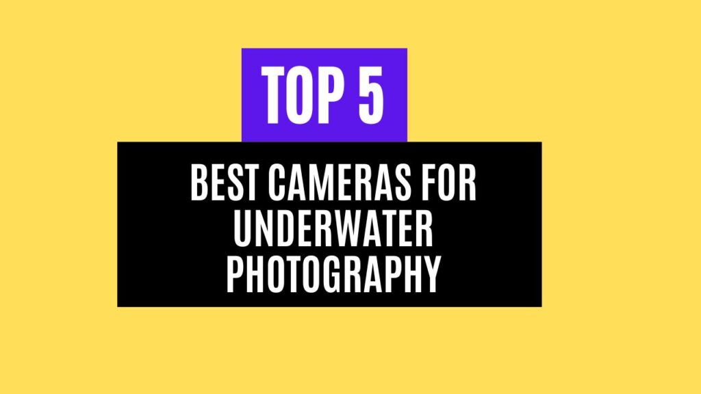 Top 5 Best Cameras for Underwater Photography in 2025