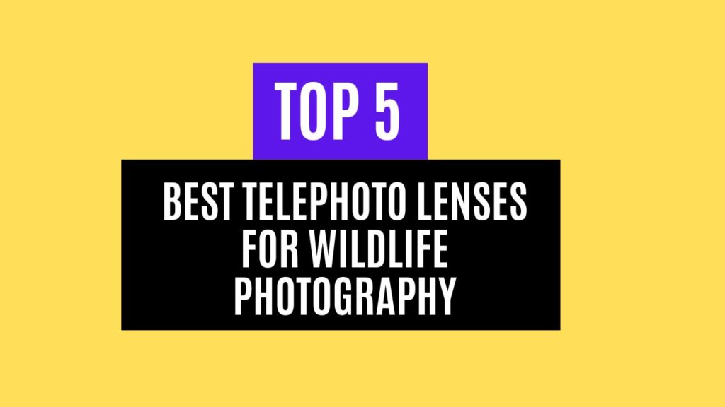 Top 5 Best Telephoto Lenses for Wildlife Photography in 2025