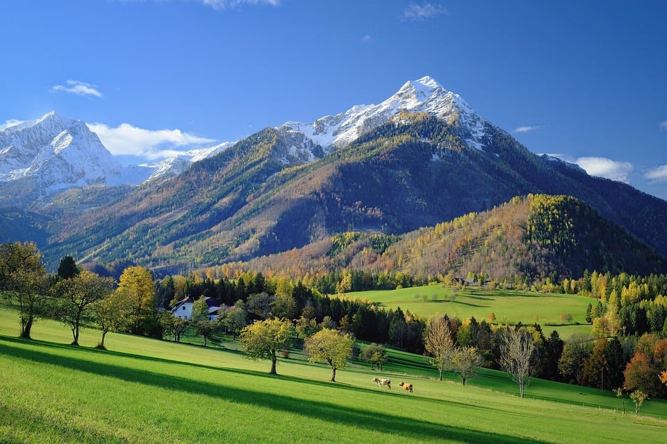 mountains and grass